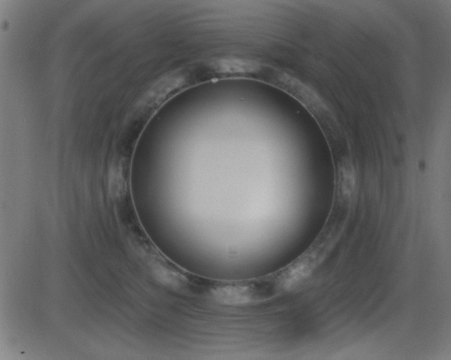 X0000081380422200701111457