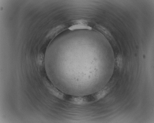 X0000081380423200701111457