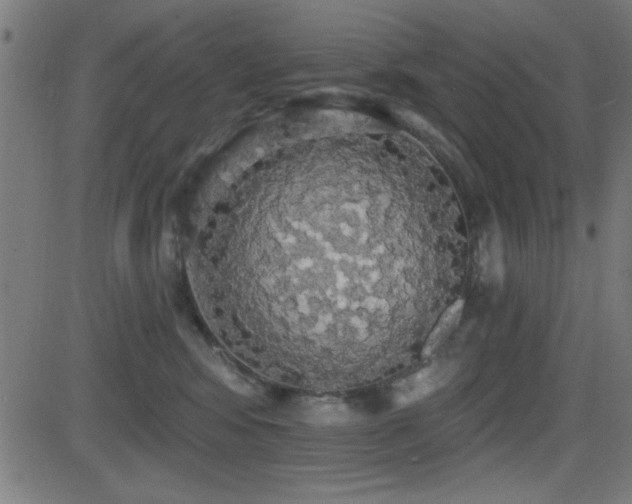 X0000081380424200701111457