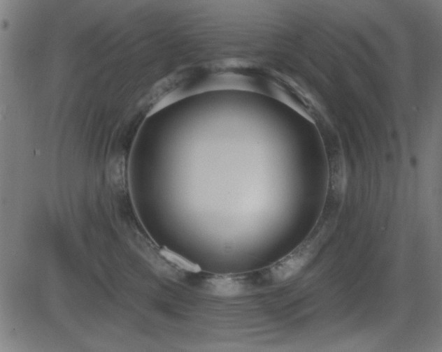 X0000081380425200701111457
