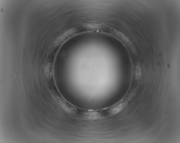 X0000081380428200701111457