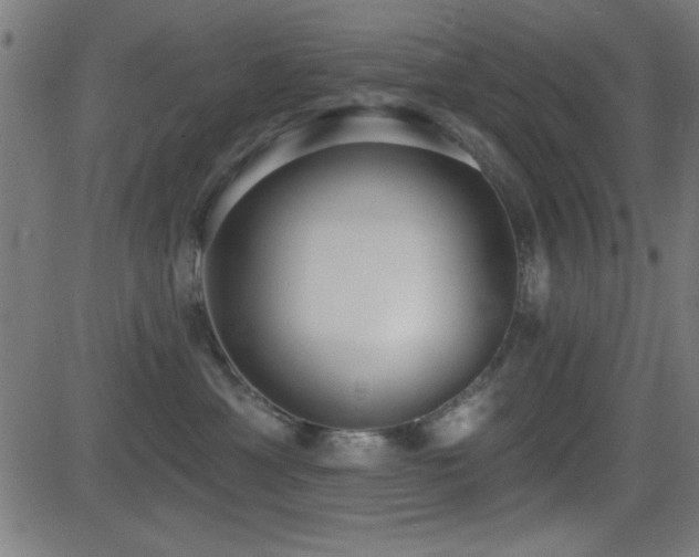 X0000081380429200701111457