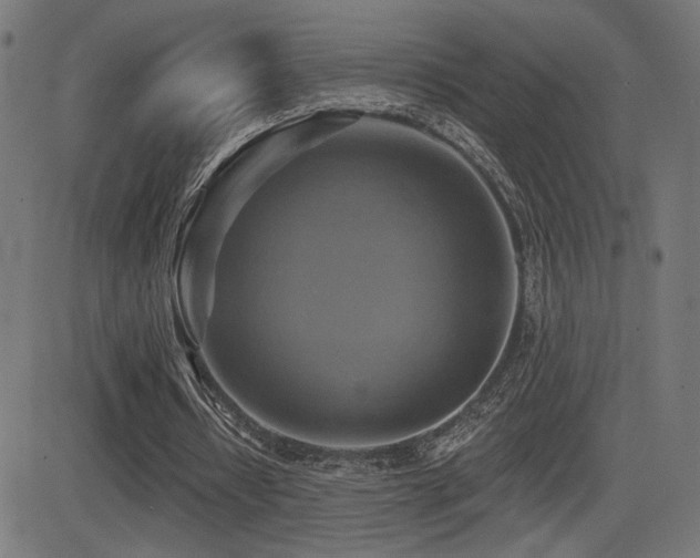 X0000081380434200701111456