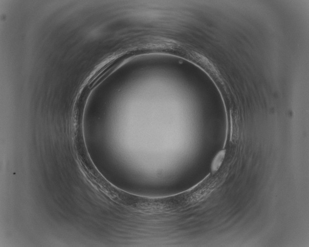 X0000081380435200701111456
