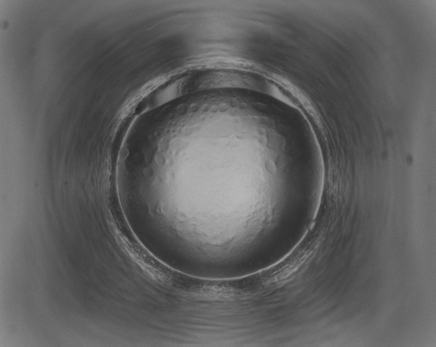 X0000081380437200701111456