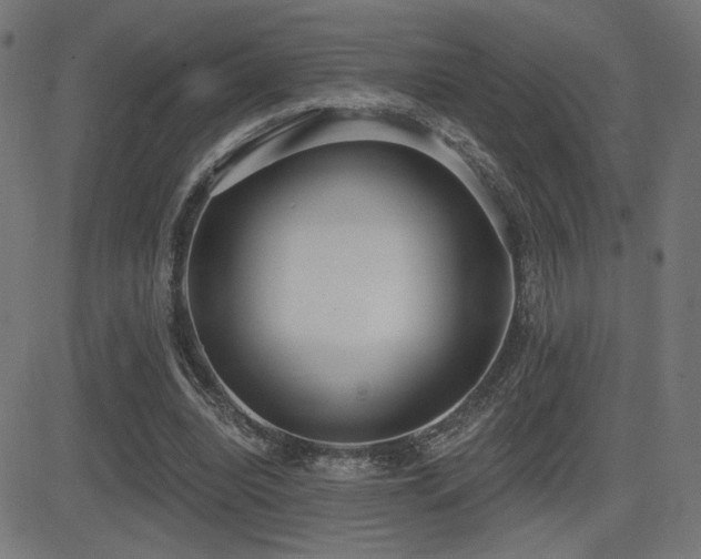 X0000081380440200701111456