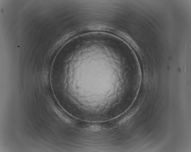 X0000081380441200701111456
