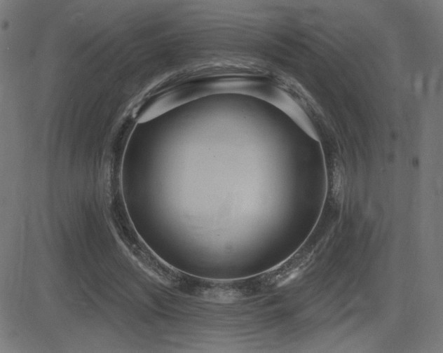 X0000081380444200701111456