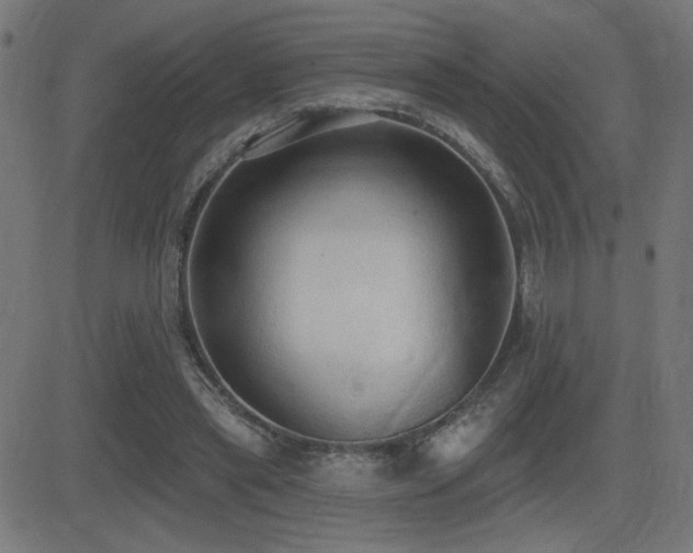 X0000081380445200701111456
