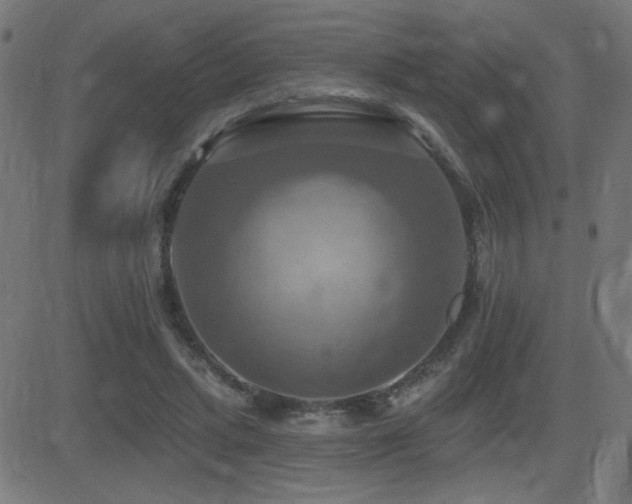 X0000081380447200701111456