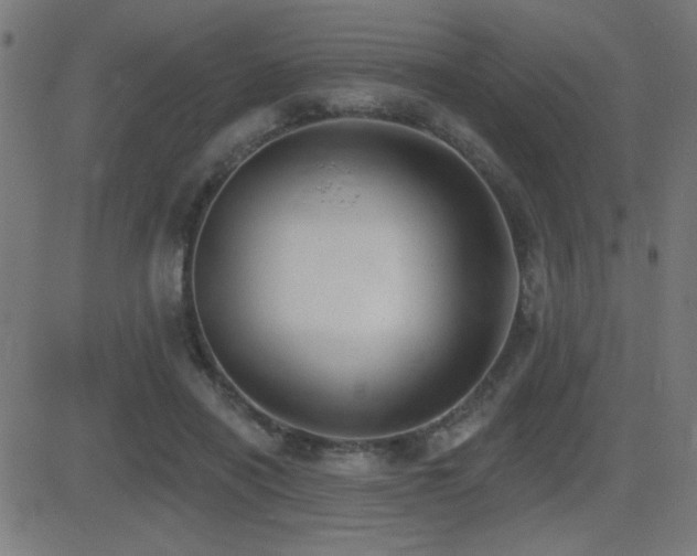X0000081380454200701111456