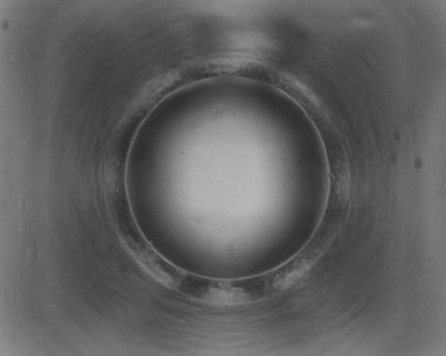 X0000081380455200701111456