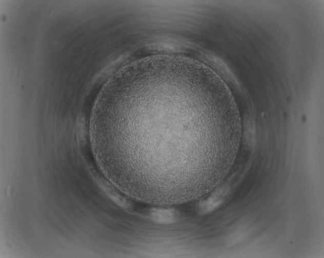X0000081380457200701111456