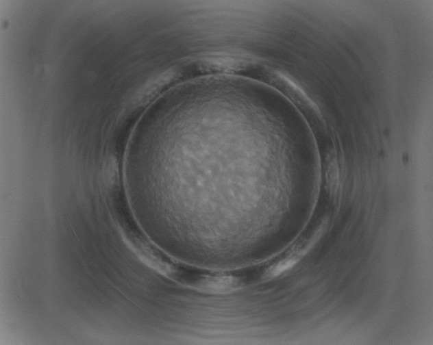 X0000081380459200701111456