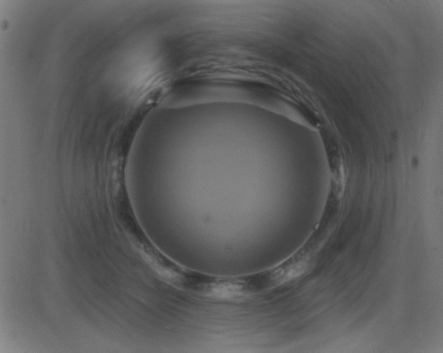 X0000081380462200701111456