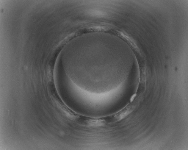 X0000081380465200701111456