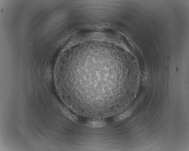 X0000081380466200701111456