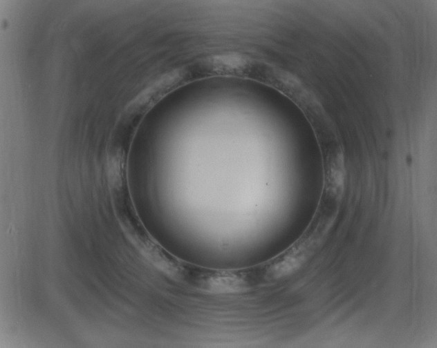 X0000081380468200701111457