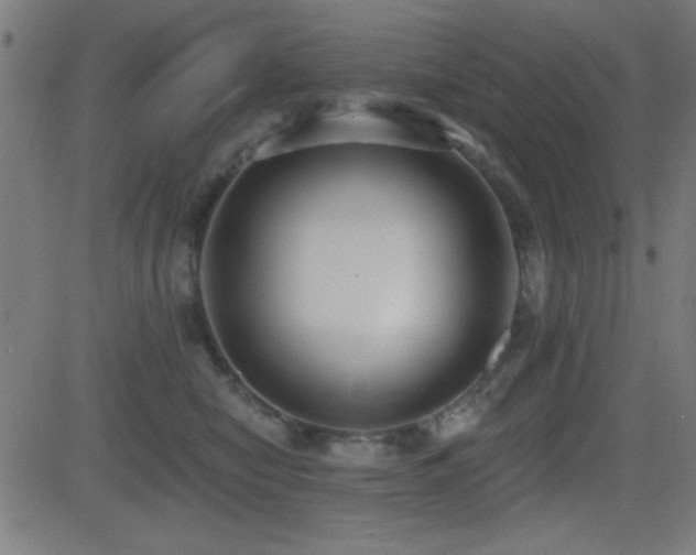X0000081380470200701111457