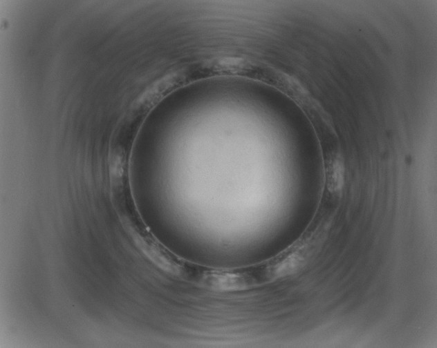 X0000081380472200701111457