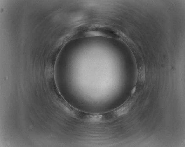 X0000081380474200701111457
