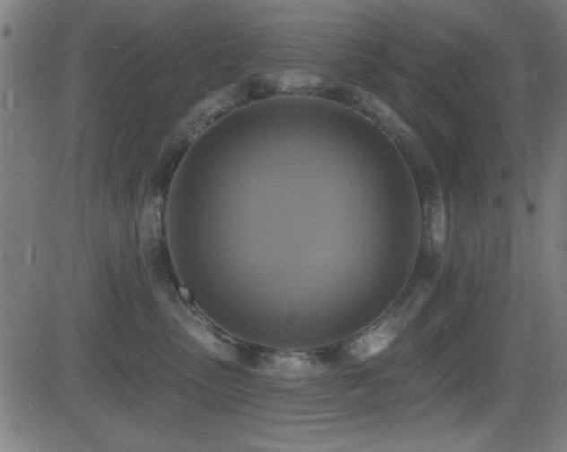 X0000081380475200701111457