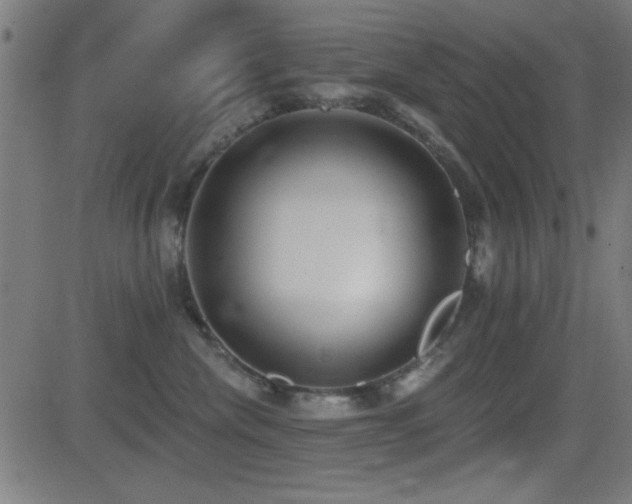 X0000081380476200701111457