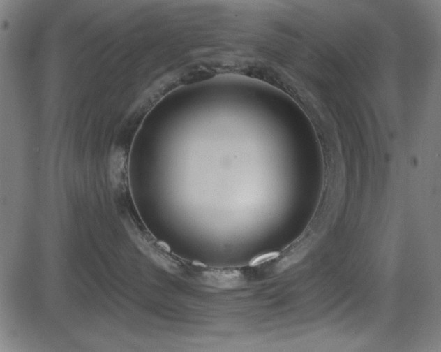X0000081380480200701111457