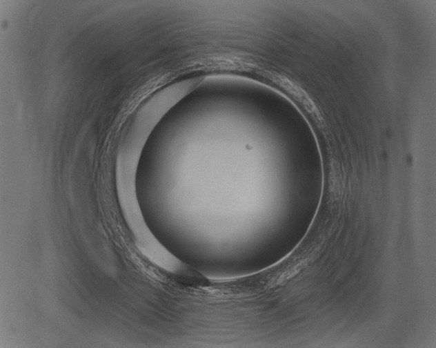 X0000081380481200701111456