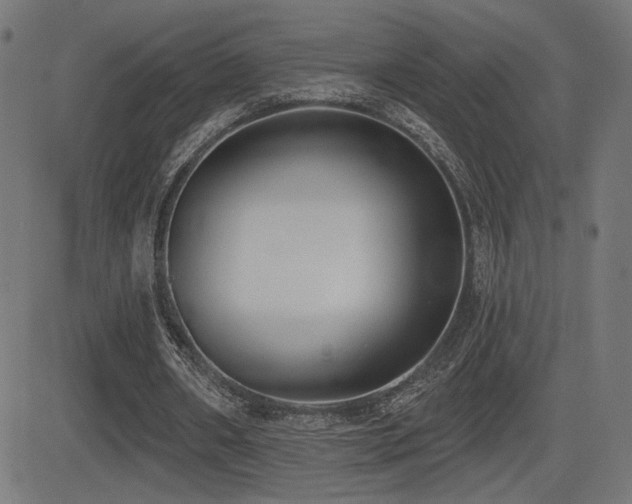 X0000081380482200701111456