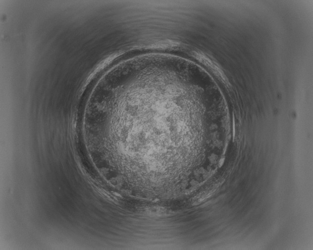 X0000081380483200701111456