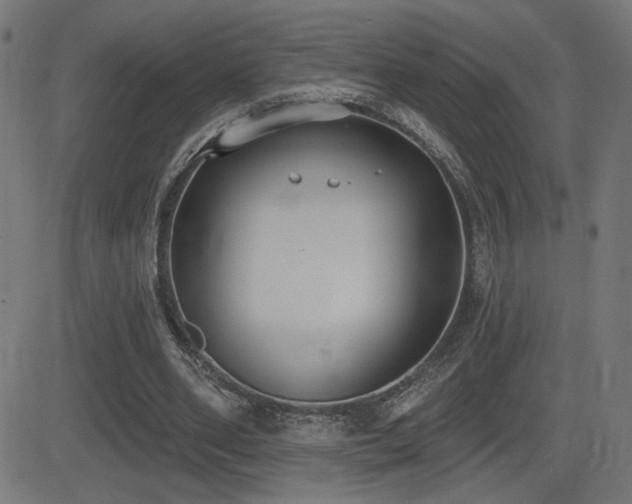 X0000081380486200701111456