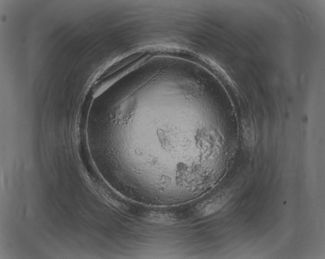 X0000081380487200701111456