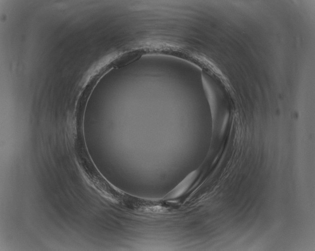 X0000081380488200701111456