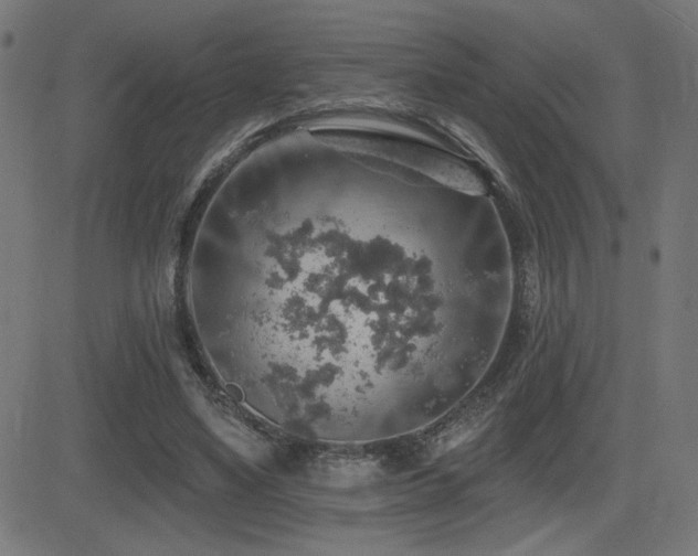 X0000081380491200701111456