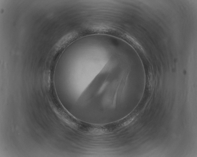 X0000081380494200701111456
