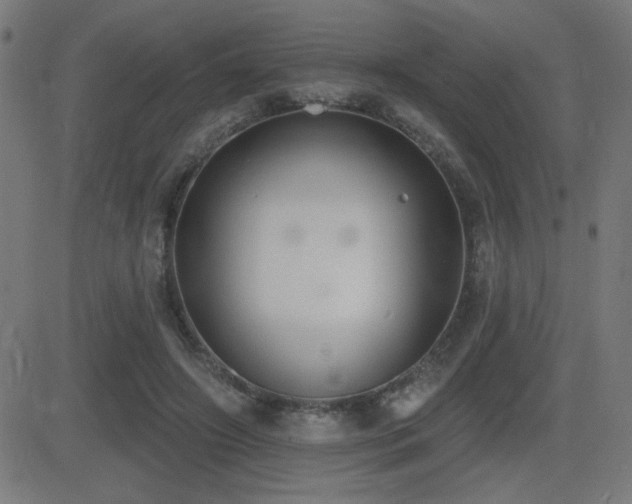 X0000081380498200701111456