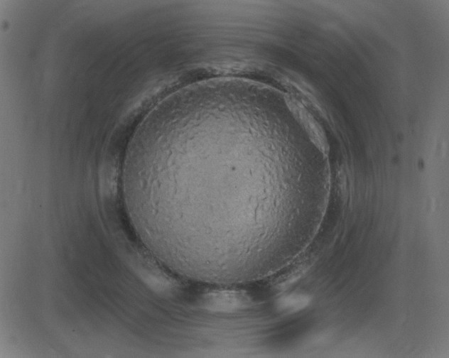 X0000081380499200701111456