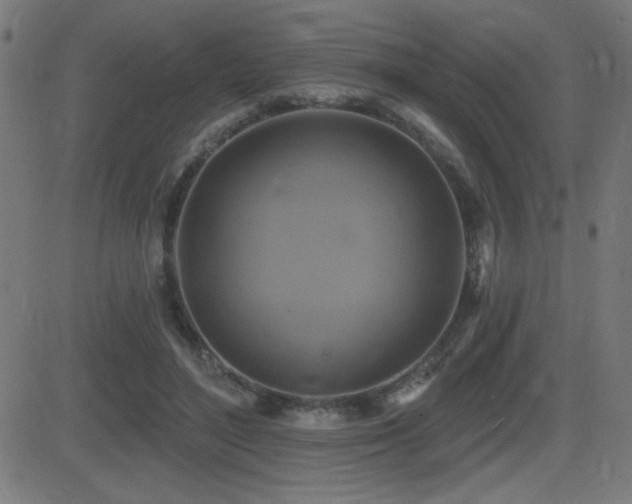 X0000081380500200701111456
