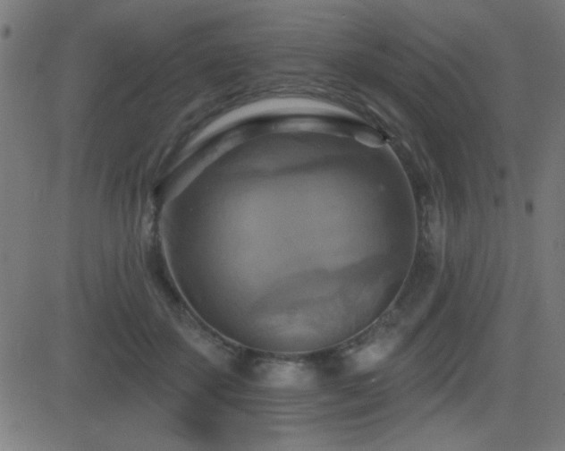 X0000081380507200701111456
