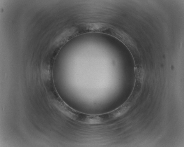 X0000081380510200701111455