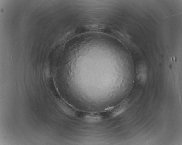 X0000081380515200701111455