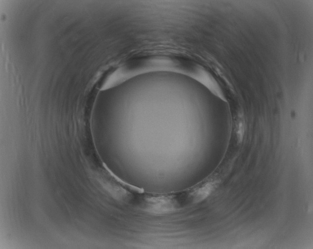 X0000081380516200701111455