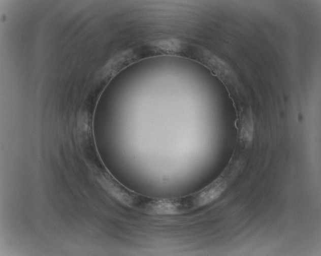 X0000081380518200701111455