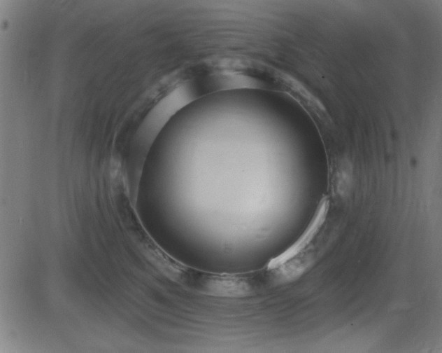 X0000081380521200701111455