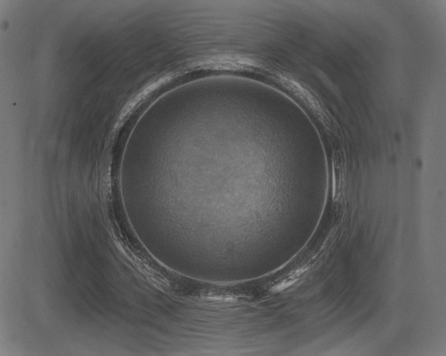 X0000081380531200701111454