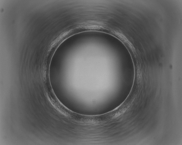 X0000081380533200701111454