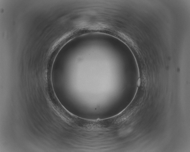 X0000081380535200701111454