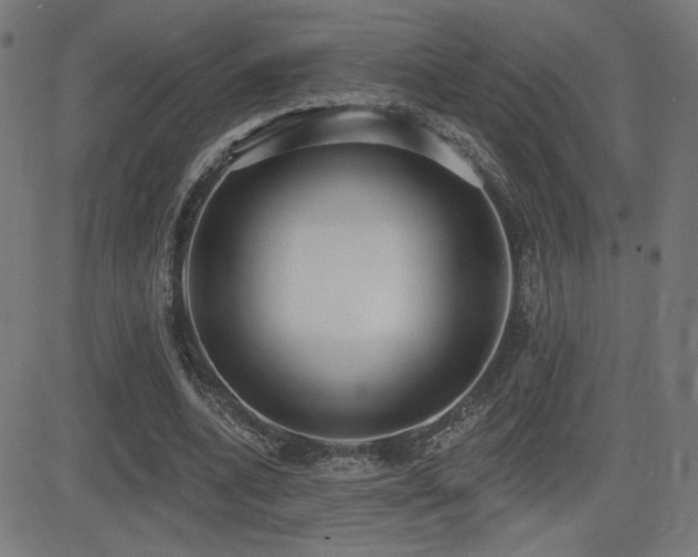 X0000081380536200701111454