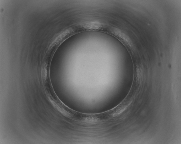 X0000081380541200701111455